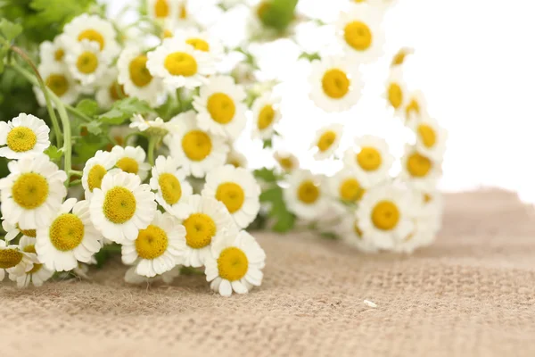 Krásná kytice zblízka — Stock fotografie