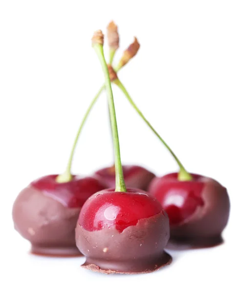 Sweet cherries with chocolate, isolated on white — Stock Photo, Image