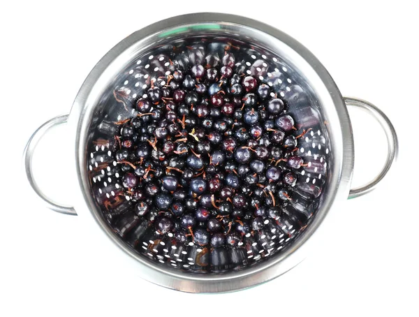 Black currants in colander isolated on white — Stock Photo, Image