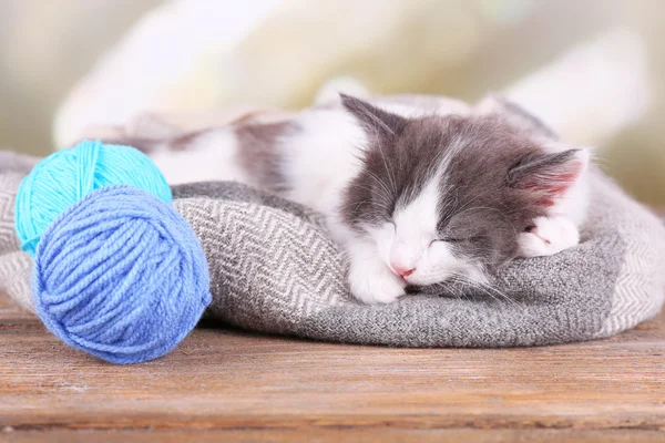 Cute little kitten sleeping on plaid, on bright background — Stock Photo, Image