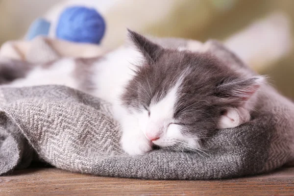 Cute little kitten sleeping on plaid, on bright background — Stock Photo, Image