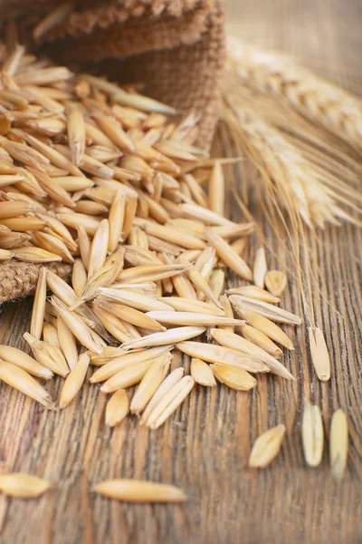 Zrna žita a uši na stole, detail — Stock fotografie