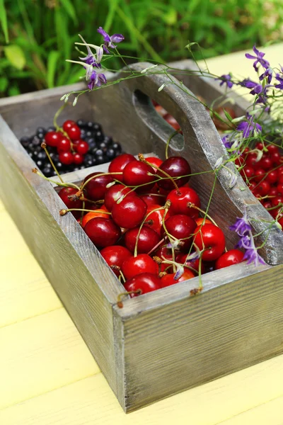 Fresh berries in wooden box, close up — Stock Photo, Image