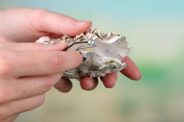 Hand with tweezers holding pearl and oyster on mature background — Stock Photo, Image