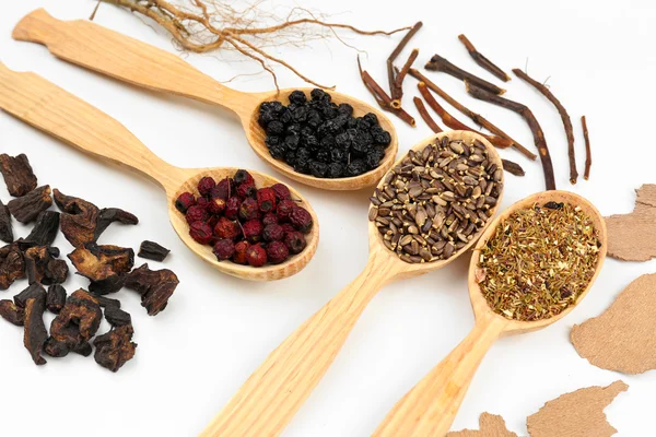 Ingredientes tradicionales de la medicina herbal china, primer plano —  Fotos de Stock