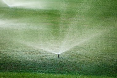 Çimleri sulayan otomatik fıskiyeler