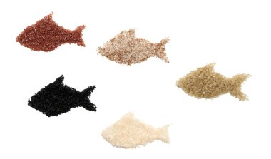 Deniz tuz kristalleri