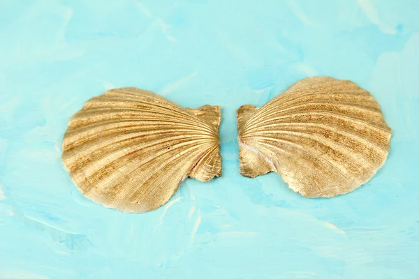 Seashells on blue background — Stock Photo, Image