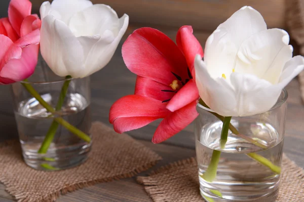 Beautiful tulips in bucket in vase on table on grey background — Stock Photo, Image