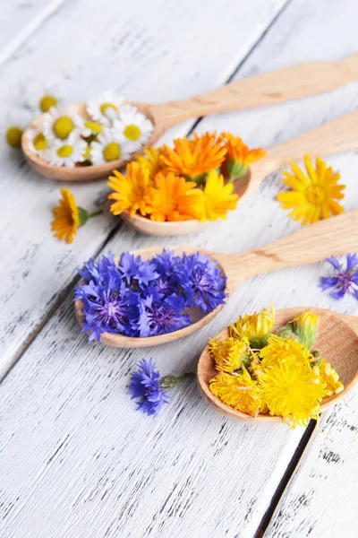 Fresh medical herbs in wooden spoons on table close-up — Stock Photo, Image