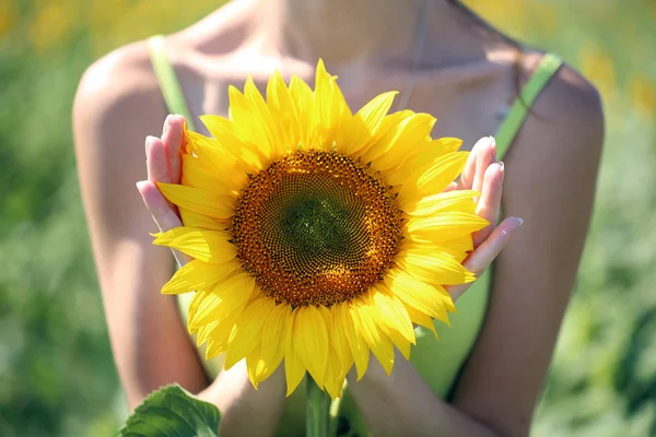 Yakın çekim kadın içinde güzel ayçiçeği eller — Stok fotoğraf