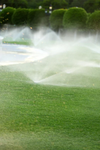 Automatiska vattenspridare vattna gräs — Stockfoto
