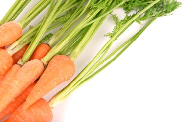 taze havuç üzerine beyaz izole yaprakları ile