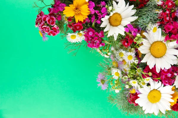 Schöne helle Blumen auf grünem Hintergrund — Stockfoto