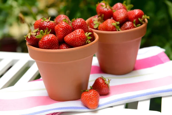 Maturi dolci fragole in pentole su tavolo in giardino — Foto Stock