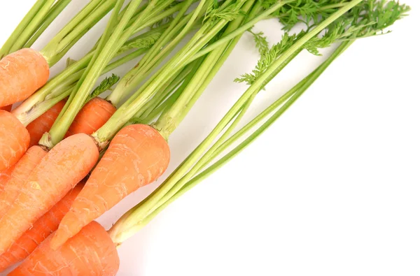 taze havuç üzerine beyaz izole yaprakları ile