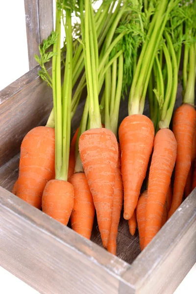 Свежая морковь в ящике. — стоковое фото