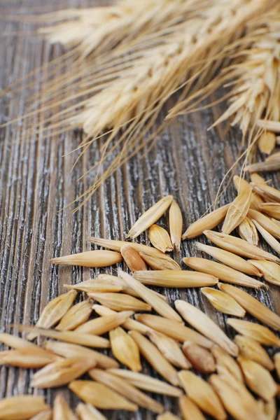 Rye grains and ears on table, close-up — Stock Photo, Image