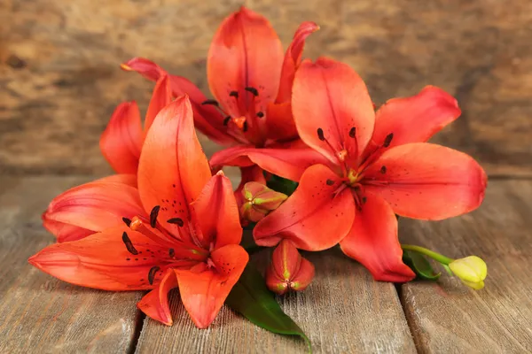 Beautiful lily on wooden background — Stock Photo, Image