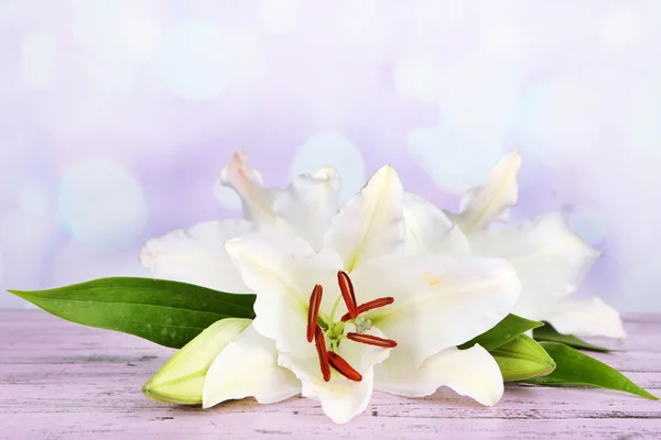 Vackra lily på tabellen på ljus bakgrund — Stockfoto
