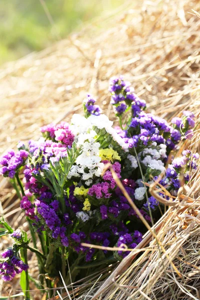 Belles fleurs sauvages en bouquet dans le champ — Photo