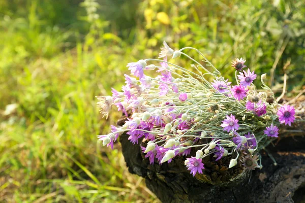 Tronco de árbol con ramo de flores silvestres en el campo —  Fotos de Stock