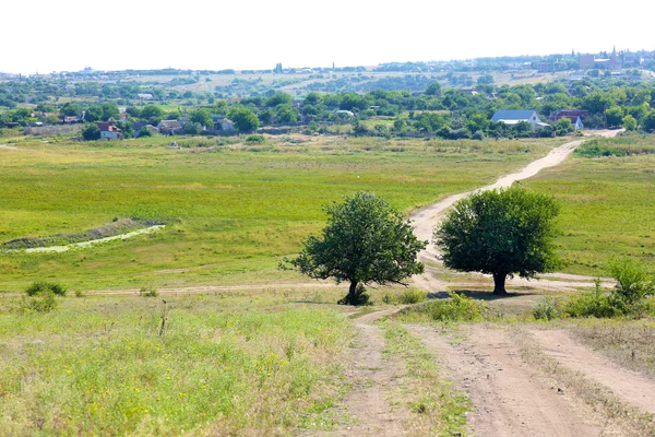 Ground road in field — Stock Photo, Image