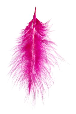 güzel dekoratif tüyler