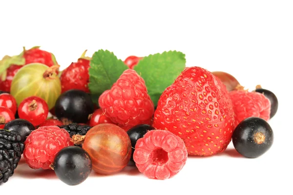 成熟的莓果上白色隔离 — 图库照片