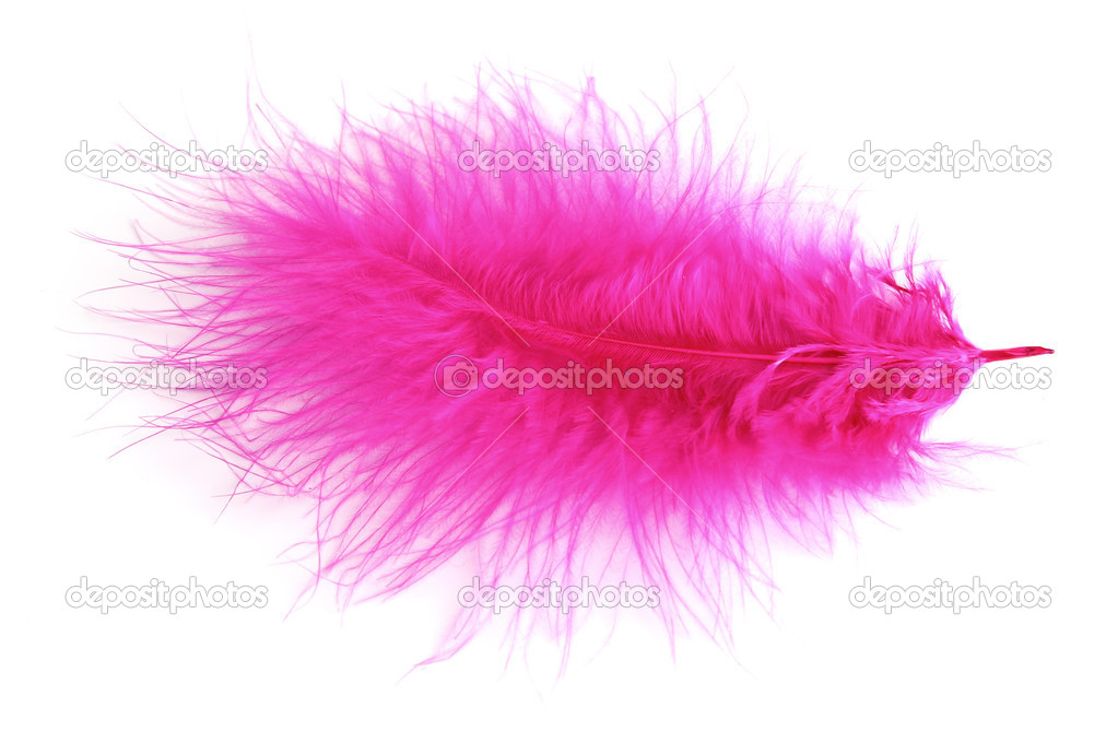Beautiful decorative feathers