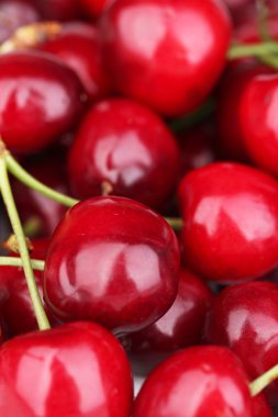 Olgun tatlı kiraz, yakın çekim