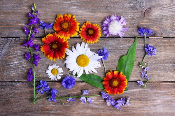 Diversi bellissimi fiori selvatici — Foto Stock