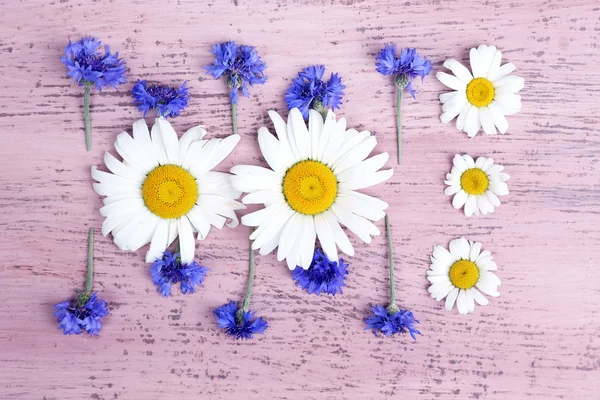 Verschillende mooie wilde bloemen — Stockfoto