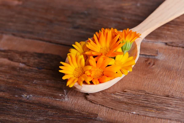 Calendula in houten lepel — Stockfoto