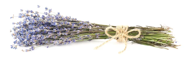 Flores de lavanda aisladas en blanco —  Fotos de Stock