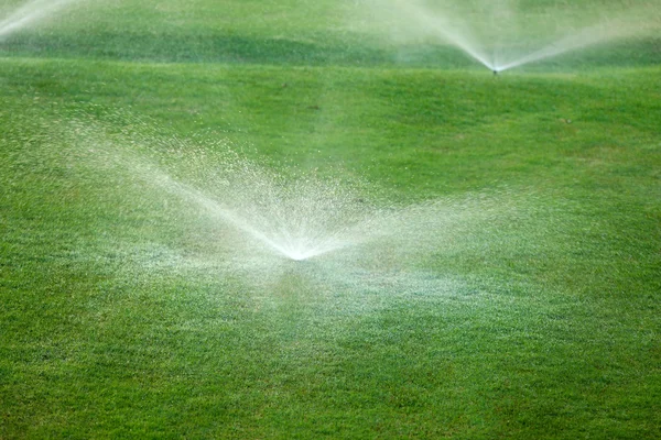 Sprinklers watering grass — Stock Photo, Image