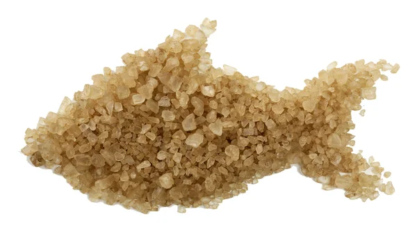 Sea salt in shape of fish — Stock Photo, Image