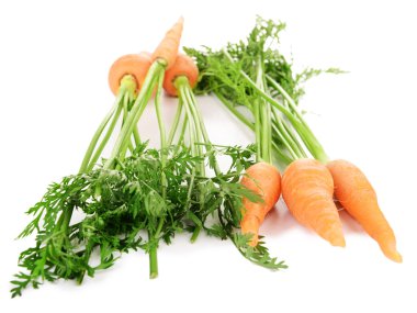 taze havuç yaprakları ile