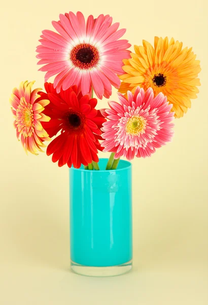 Beautiful Gerber flowers — Stock Photo, Image