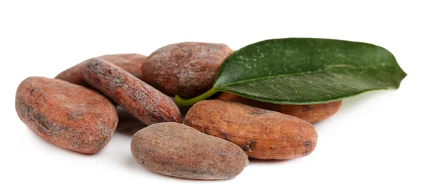 Kakaobohnen mit Blatt isoliert auf weiß — Stockfoto