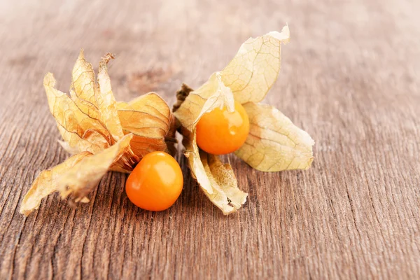 stock image Physalis fruits on wooden background