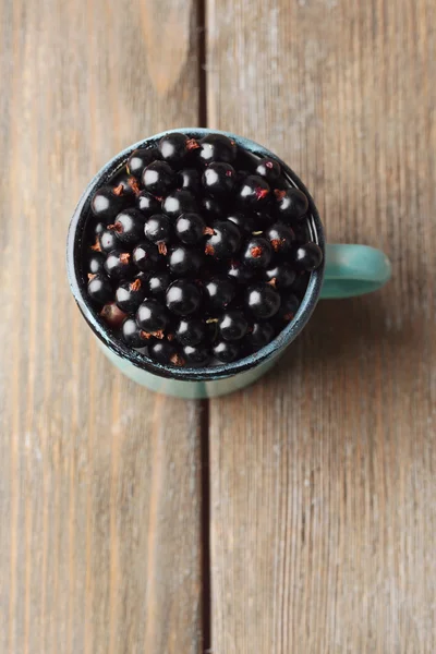 Ripe blackcurrants in mug — Stock Photo, Image