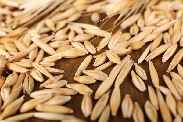 Rye grains and ears — Stock Photo, Image