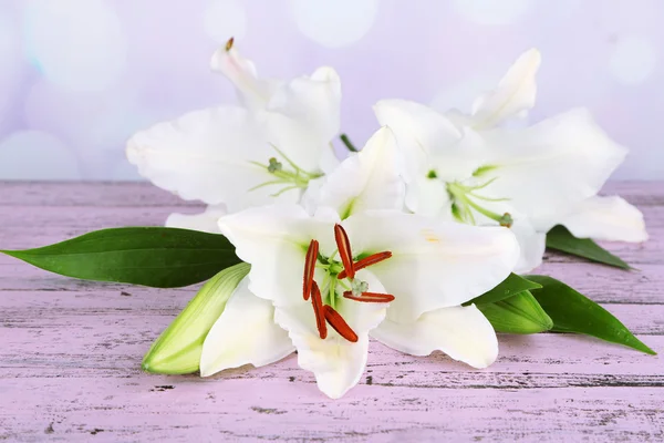 Beautiful lily on table on bright background — Stock Photo, Image