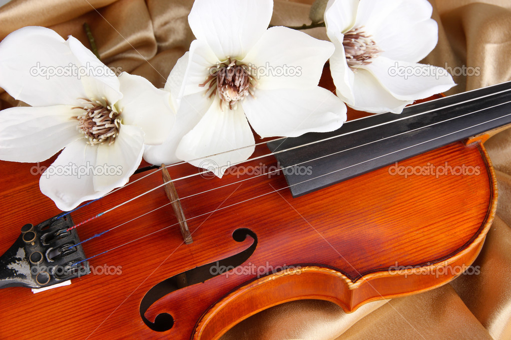 Classical violin with flowers