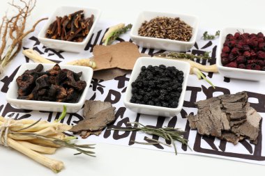 geleneksel Çin Bitkisel Tıp