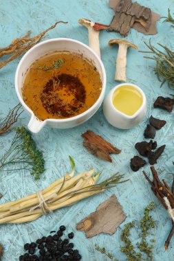 geleneksel Çin Bitkisel Tıp