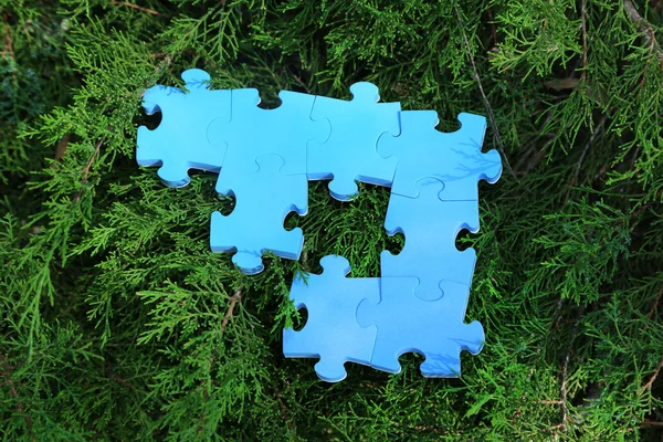 Puzzle pieces on green grass — Stock Photo, Image