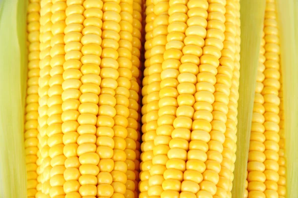 Crude corns close-up — Stock Photo, Image