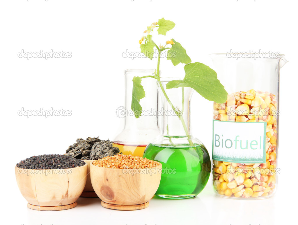 Conceptual photo of bio fuel.  Isolated on white
